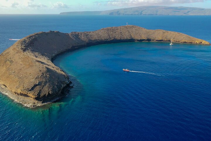 Molokini Snorkel plus Whale Watching Adventure Tour - From Kihei - Photo 1 of 20